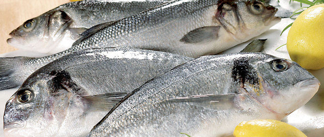  Poisson - poissons vente de poisson frais  (daurade royal et labrex loupe de mère)                          --         --  ----                                      