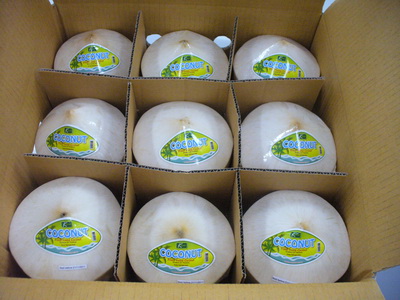  Noix De Coco Origine Thailande, Nam Hom - fruits secs et graines grillées nous sommes producteurs de noix de coco nam hom en provenance de thailande. les noix sont polies ou semi-polies,  emballées et pretes à la consommation. expediées sous chaine de froid afin de garantir fraicheur et longévité. --possibilité d'envoi cif n'import