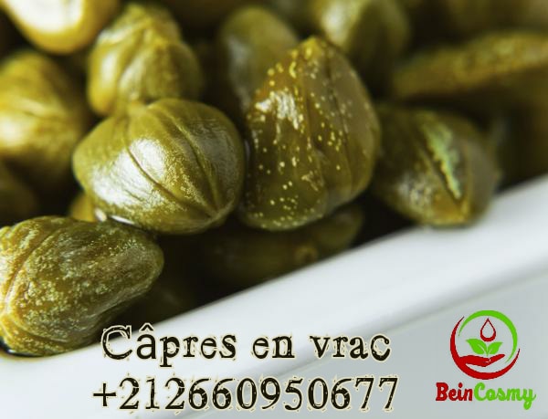  Câpres En Vrac Tout Calibres - matiere vegetale bonjour, --notre usine met à votre dispositions tous les calibres des câpres ---lilliputs - de 1 à 5 mm--non pareilles - de 6 à 7 mm--surfines - de 7 à 8 mm--capucines - de 8 à 9 mm--capotes - de 9 à 11 mm--fines - de 11 à 12 mm--hors calibre - p