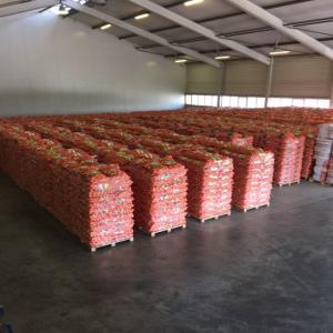  Oignons,pomme De Terre Et Divers Produits Agro-al - fruits et légumes nous sommes en cote d'ivoire et disposons actuellement de grandes quantité d'oignons de pommes de terre et divers produits en provenance du maroc--contactez-nous car nous restons ouvert à toutes propositions