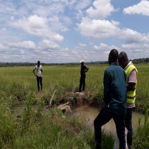  Vente De Bois De Teck - bois charbon fibre 30 hectares de teck en vente dans la ville de daoukro. age 27 ans --le clients doit venir prendre la marchandises
