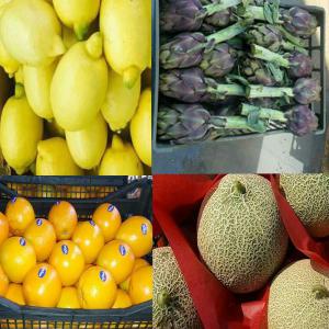  Citron, Orange, Melon Et Artichaut - fruits et légumes nous proposons à la vente- citron,  orange,  melon et artichaut. egyptien--nous cherchons un acheteur sérieux, ---citron 0, 9 euro kg---orange 0.6 euro kg---melon anas 0.8---artichaut 5, 5 euro la boîte plastique (25 pièce) dan chaque boite -- fob port alexandrie egypte------  