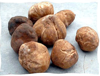  Cherche Terfès - champignon levure je cherche un fournisseurs de terfès de bonne qualité en tunisie pour l'export au pays de golfe merci de me contacté 