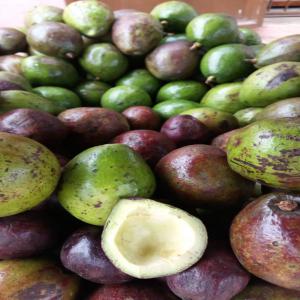  Fruits, Ananas, Avocats - fruits et légumes je suis un africain,  béninois migrant en algérie,  je recherche de clients et ou de potentiels partenaires pour une import-exportation des fruits. je pourrais fournir des ananas,  de l'avocat tous de très bonne bonne qualité et surtout à un prix très abordable