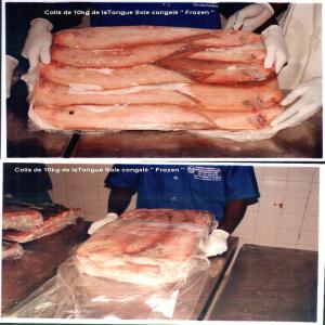  Poisson Exotique De Dakar - poissons poisson frais et congele du senegal ( daurade rose ,  merous ,  mahi mahi ,  sardinelle,  chinchard,  maquereau,  poulpe ,  seche ,  thon yellow fin,  sole entiere ,  filets de sole,  filet de merou,  filet de maquereau ,  longe de thon ,  rouget  etc....