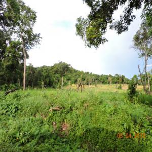 Vente Terrain Sur Nosy Be - mine terrain concession bonjour, --je souhaiterai vendre mes terrains sur l'ile de nosy be a madagascar pour une superficie total de 346 ha. ces terrains peuvent aussi bien etre agricole ou constructible. une partie de ces terrains sont en bord de mer (palétuvier). pour plus de détails merci de me contacter en