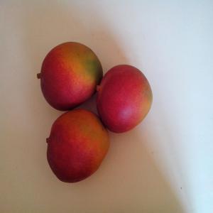  Mangues Fraîches, Ananas, Coco, Noix De Cajou, - fruits et légumes bas&eacute;e en c&ocirc;te d'ivoire,  notre soci&eacute;t&eacute; est sp&eacute;cialis&eacute;e dans l'exploitation  et l'exportation des produits agricole tel que - la mangue fra&icirc;che  (kent et keït),  l'ananas,  les noix de cajou,  le coco etc.--alors nous sommes &agrave; la recherche de clients 