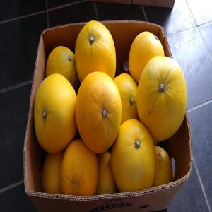  Pomelo Exotique - fruits et légumes on est des producteurs du pomelo exotique et on cherche à exporter notre produit partout dans le monde avec un tarif très intéressant.