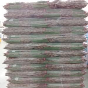  Noix Marbot Disponible! - fruits secs et graines grillées nous avons disponible---noix marbot pour la vente. cal 34+--bonne qualité--origine- france--1000 kg / 1500 kg + ---
