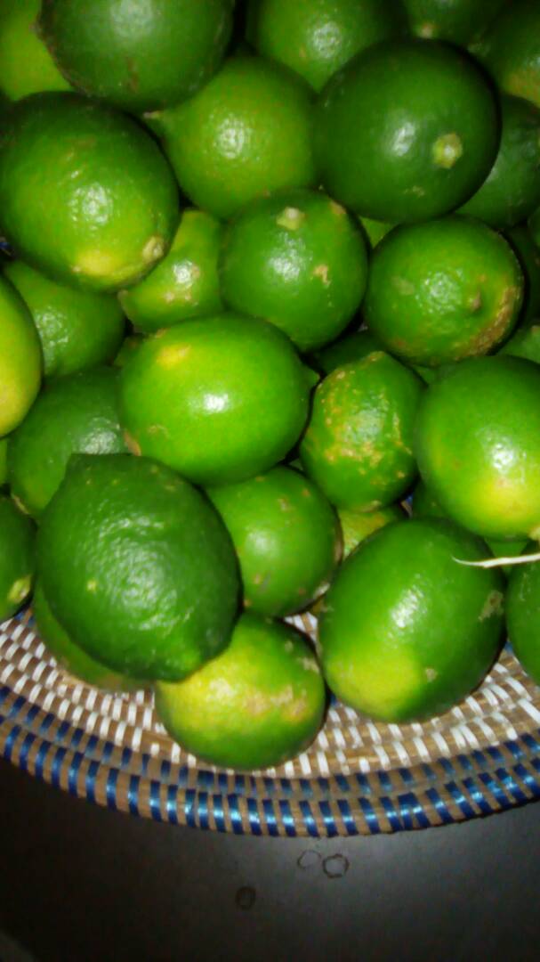  Vente D'agrumes De Saison: Citons Et Mangues - fruits et légumes je vends des agrumes de saison- mangue et surtout citrons de gros calibres; les mangues sont disponibles à partir de juillet jusqu'en octobre; les citrons sont disponibles en octobre et janvier et plus tard en mai juillet; la production se fait dans la région de dakar,  au sén&ea