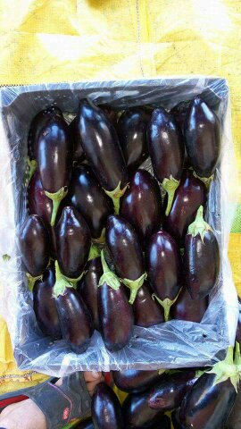  Ente 20 Tonne Aubergine Bio - fruits et légumes nous sommes producteur de fruit et légumes.--nous recherchons un acheteur sérieux  pour le travail à long terme --notre produit et 100% bio certifier pour plus d'info merci de nous contacter.    