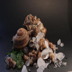  Snails Frozen Meat - viandes et oeufs we are snails breeders and exporters from lithuania.----and at this moment we are selling 370kg of snails frozen meat cooked for 15minutes. ----price 7eur/kg.----if you have any questions ar need some other details,  please feel free to contacts usĄ