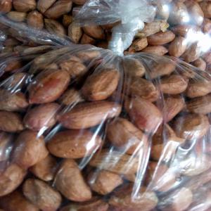  Association Mepro Agro Expert En Vente De Produit - fruits secs et graines grillées paiement  cash ou par virement bancaire. commercialise des produits suivant- anarcardes ;amandes de palmiste;grain d'arachide; grain de roucou et autre produits