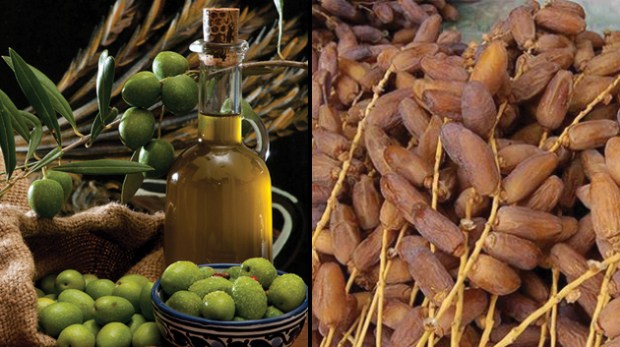  Vente Dattes Et Huiles D'olive - huiles super affaire!!!!! à vendre de l'huile d'olive extra vierge et dattes digla très bonne qualité.--pour toute information supplémentaire merci de me contacter cordialement sur