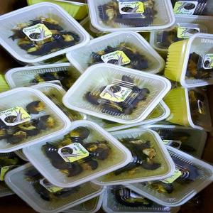  Escargots Frais Et Nettoyés - coquillage crustacé escargots frais déjà nettoyés et prets à l'assaisonnement et la cuisson. --prix- 3.500f--qté- 250g----