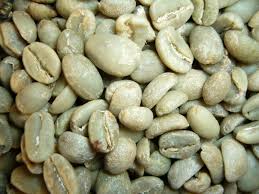  Cafe Cacao Cajou - café cacao thé disponible café vert robusta de cote d'ivoire et noix de cajou dès deuxième quinzaine de fevrier.--pour le café,  nous recherchons principalement des clients d'algerie. expeditions par 2 conteneurs minimum