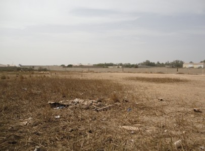  Vente De Terrains Au Sénégal Diamniadio, Diass - mine terrain concession diamniadio 10 ha tf le m² 20 000 frs --diamniadio 5 ha tf derrière l’hôpital des enfants le m² 20 000 frs --diamniadio 4 ha tf sur le pôle le m² 25 000 frs --diamniadio 1 ha et 2 ha tf le m² 20 000 frs --3 ha bordure de la route zone industrielle  bail à sebikhotane ponty d