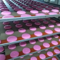 Fournisseur De Macarons Pour Les Professionnels - patisserie entreprise traditionnelle situ&eacute;e en tunisie,  nous sommes sp&eacute;cialis&eacute; dans la fabrication de macarons et coques de macarons--nos conditionnements vrac ou individuels nous permettent de r&eacute;pondre &agrave; une large demande.--* ind&eacute;pendants des m&eacute;tiers de bouche-