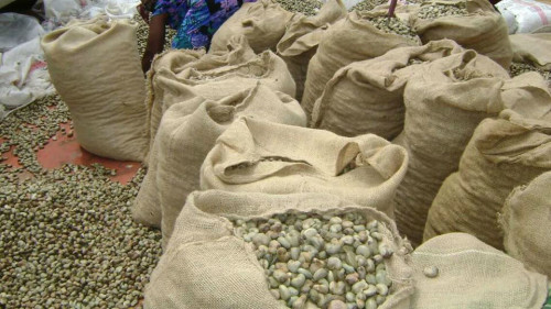  Recherche Des Clients Potentiels Sérieux - fruits et légumes nous sommes une soci&eacute;t&eacute; n&eacute;goce du b&eacute;nin.--nous sommes &agrave; la recherche des clients potentiels s&eacute;rieux pour la campagne de noix de cajou 2018 au b&eacute;nin.--nous sommes producteur de noix de cajou au nord du b&eacute;nin,  nous disposons une grande quantit&ea