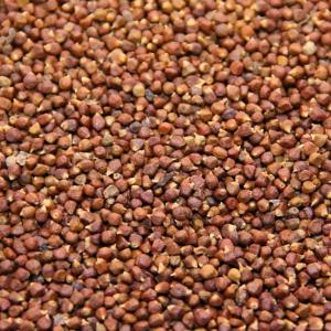  Maniguette - épices aromates nous mettons en vente une quantité illimité de poivre maniguette à des prix défiant toute concurrence.--prix - selon saison--moyen de paiement - cash ou instrument bancaire fiable--pour d'amples informations,  contactez-nous  