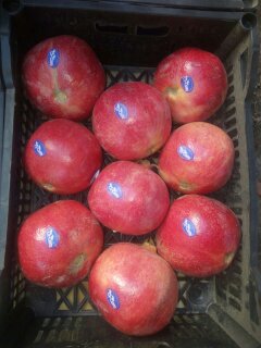  Vente Grenade - fruits et légumes bonjour nous sommes producteur egyptien et nous cherche un client s&eacute;rieux--pour travailler &agrave; long terme --nous mettons &agrave; votre disposition 150 tonnes de grenade --pour plus d'infos merci de nous contacter.  -- 