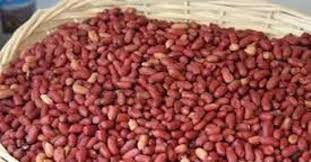  Offre De Vente D'arachide Colorê Cameroun - céréales nous avons l'honneur de venir auprés de votre bienveillance presenter notre offre des arachides pour la periode.--en effet nous sommes une entreprise qui dispose d'une longue experience dans le négoce.en ce moment nous disposons d'un stock spot de 10.000 t d'arachides colorés pr