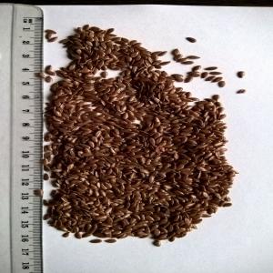  Graines Avec Certificat Bio - semence graine plant nous offrons des graines avec certificat bio --bionaturatrade pl.--pour la confection et l'huile--quantités 1-1, 5 tonnes (peut etre mélangé).--disponible---tournesol, --lin brun, --citrouille.--nous fournissons le transport.