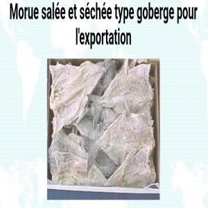  Recherche Partenaire Pour Exporter L'hareng Fsalé - poissons importation de la norv&egrave;ge ou du canada,  br&eacute;sil,  argentine,  p&eacute;rou pour l'hareng,  la morue,  le goberge ... selon les conditions climatique cela pourrait au se transporter dans un conteneur frigorifique 