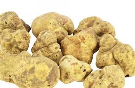  Vente Fruits Et Légumes - fruits et légumes une entreprise alg&eacute;rienne bas&eacute;e &agrave; jijel,  leader dans l'exportation,  notre activit&eacute; principale se base sur les produits agricoles / fraises,  truffes et de tous les autres produits agricoles de fruits et l&eacute;gumes ... (produit disponible )--nous cherchons des client po