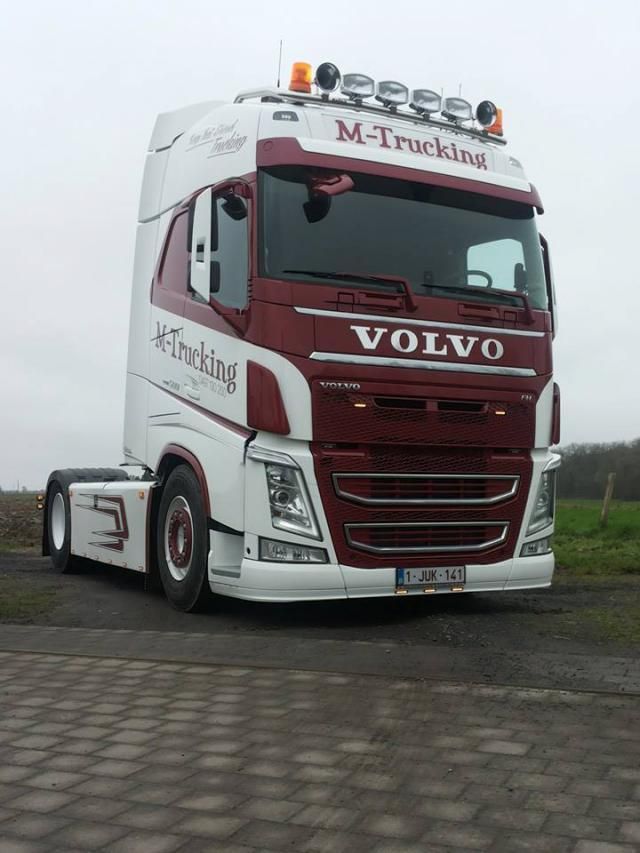  Transporteur Belge - transport transit logistique transporteur belge a votre disposition  en frigo ou bâché  dans toute l'europe   fruit légume toute sorte de marchandises    merci de nous contacter