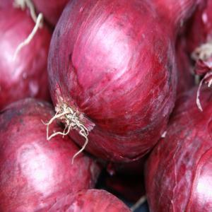  Oignon Et Pomme De Terre - fruits et légumes nous recherchons un partenaire s&eacute;rieux pour travailler ensemble dans l'exportation des l&eacute;gumes du maroc vers la cote d'ivoire oignon pomme de terre, prune du maroc