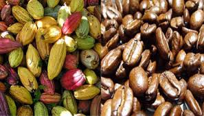  Vente De Cacao Café Et - café cacao thé nous sommes un groupement d'agriculture et nous disposons de cacao ,  biologique,  de très bonne qualité.--nous pouvons livrer jusqu'à 50.000 tonnes à raison de 1000tonnes/mois--prix 1146000cfa/tonne ,  prix fob--caractéristiques plus détaillés sur deman