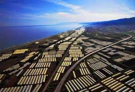  Fruits Et Légumes Jijel - fruits et légumes nous sommes une nouvelle soci&eacute;t&eacute; bas&eacute; &agrave; l'est d'alger exerce dans le secteur de l'exportation de diff&eacute;rente produits agricoles notamment fraise,  melons,  past&egrave;ques,  piments,  haricots verts,  courgettes veuillez nous contacter pour plus d'informations,  nos prix