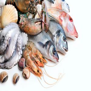  Cherche Poisson Et Fruits De Mer - poissons je cherche du poisson frais pour importer a montr&eacute;al ,  &ccedil;a devrait etre par voie a&eacute;rienne ( turkish airline ' tunis air ou wherever)--daurade royale et daurade grise( calibre 400-600) --loup sauvage *400-600)--sardine--rouget--mulet--seiche--calamar--poulpe--crevette royale--entr