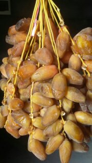  Dattes Deglet Nour Algérienne - fruits et légumes description des produits- dattes deglet nour conditionnées en boite et sous vide --origine des articles - algérie --le devis /prix des produits au cours de la semaine et avec les quantités exactes par palette.----offre valable dans la limite des stocks disponibles. photo r&eacut