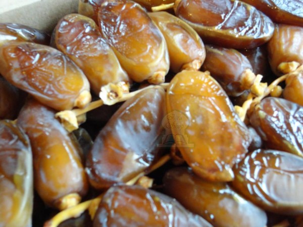  Dattes Deglet Nour - fruits et légumes nous sommes producteur exportateur des dattes tunisiennes de la région de tozeur et kebili ,  nous offrons une large gamme de variétés de dattes naturelles fraîches de qualité supérieure.--spécialisée dans l’exportation des dattes. en tant que sp