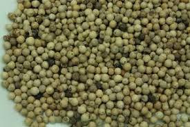  Poivre Blanc De Penja Du Cameroun - épices aromates recherche des clients  pour vendre du poivre blanc de penja produit au cameroun. la quantit&eacute; globale produite par an peut atteindre 3 &agrave; 5 tonnes. possibilit&eacute; de vous livrer aussi d autres &eacute;pices en fonction de la demande.--le poivre blanc de penja ou poivre des oiseaux es