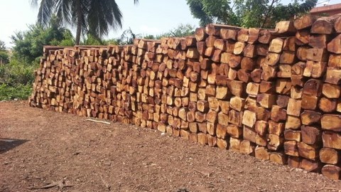  Teak Wood - bois charbon fibre nous offrons du teck avec les caractéristiques suivantes--volume - 20 - 200 m3 --diamètre - 90 - 100 mm--longueur - 5+ m--veuillez nous contacter --best regards