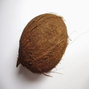  Noix De Coco - fruits secs et graines grillées nous disposons de plus de 80 tonnes de noix de coco de notre nouvelle r&eacute;colte. le  ramassage se fait chaque deux semaines et nous pouvons vous fournir 80 tonnes de noix de coco chaque 2 semaines.--merci de passer votre commande.
