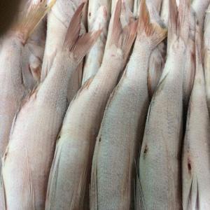  Vente - poissons sols poupoules chinchard sardinelle rondes et plates seiches sompates brochettes baracounda yakh dorades thiofs 