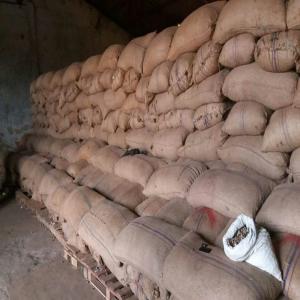  Noix De Cajou/anacarde Bonne Qualité En Vente - fruits secs et graines grillées noix de cajou 1.600 tonnes de tres bonne qualité. recolte de janvier 2018. le stock se trouve à conakry en guinée. 