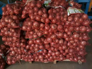  Affaire Saisir Oignons Rouge - fruits et légumes déstockage de 2000 tonnes de oignons rouge 80 tonnes conditionné-calibrer et 120 tonnes  vrac big bag ou caisse --