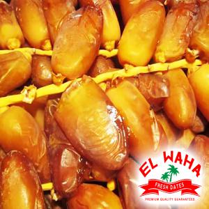  Fresh Dates From Algeria - fruits and vegetables  we export fresh dates   daglet nour  from it's original place   algeria   --feel free to contact us anytime--