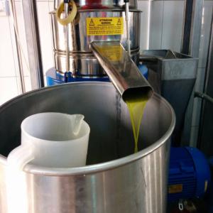 High Quality Olive Oil - olis high quality olive oil. for cooking,  treatment and beauty . olive oil is useful for skin and hair as it has a magic effect on the human body,  which has been proven by scientific studies