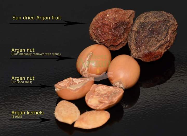  Savon,crème,a Base D'argan - hygiene entretien savon artisanale méthode à froid,  des crèmes,  des chanpoing,  à base d'argan et huile d'olive de notre région. handmade
