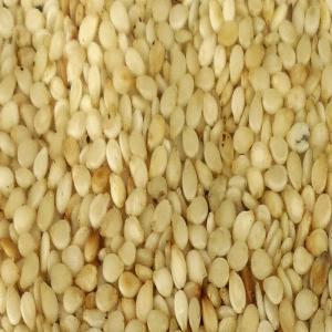  Sesame Blanc - fruits secs et graines grillées nous mettons en vente un stock de 10000 tonnes de sésame blanc certifie sgs issus de la récolte 2017 origine mali et burkina faso. nous cherchons des acheteurs sérieux pouvant fournir des garanties et souhaitant de grosses quantités.