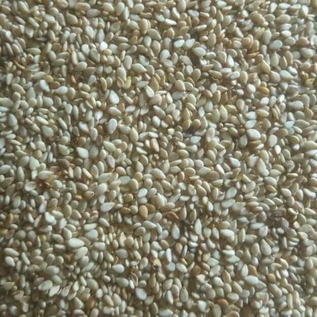  Graine De Sésame Du Nigeria - fruits secs et graines grillées nous avons 10 000 tonnes de s&eacute;same disponible au nigeria a un prix de 750mil la tonne--meri de nous envoyer une loi