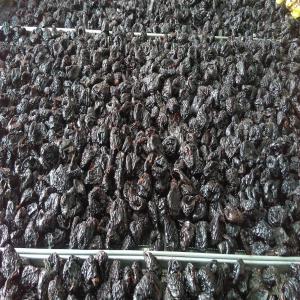  Pruneau - fruits secs et graines grillées bonjour a tous, nous somme une jeune entreprise specialisee dans le sechage des fruits, on est a la recherche des clients potentiels pour effectuer des ventes en gros