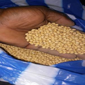  Vente Des Produits Tropicaux - autres vente des produits tropicaux( sésame , soja,  noix de cajou,  café,  cacao etc..) mes produit sont d'origine burkina-faso ,  ghana ,  togo ,  benin ,  niger. 