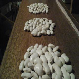  Haricot Blanc - fruits secs et graines grillées madame ou monsieur, --j'ai un stock de 1500 kg d'haricot blanc a 2, 80 euros le kg.--pour plus d'information je vous prie de bien vouloir me contacter.--cordialement.